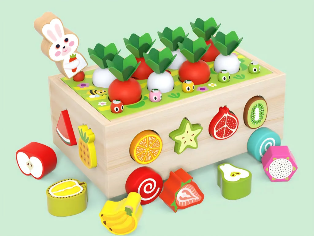 5 en 1 carottes et fruits éducatifs
