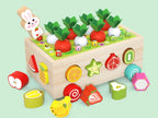 5 en 1 carottes et fruits éducatifs