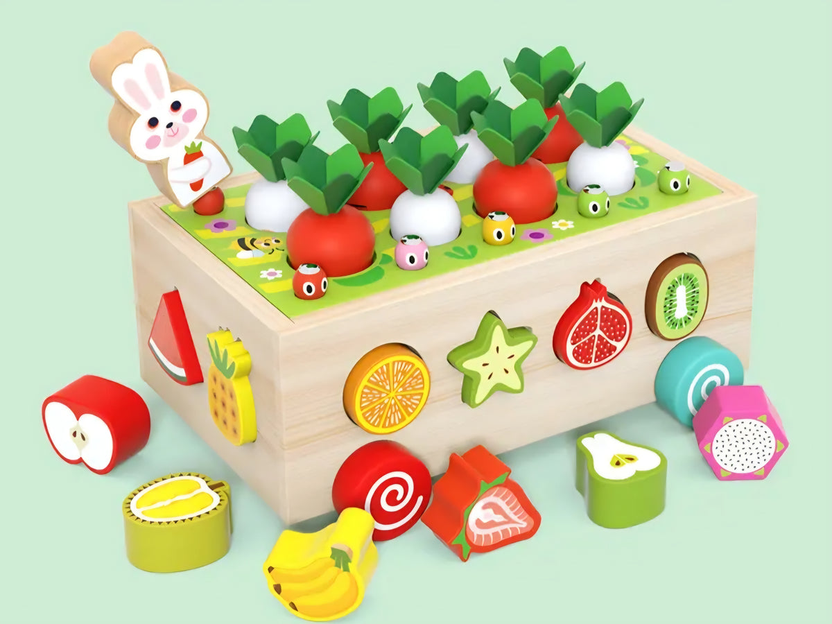 5 en 1 carottes et fruits éducatifs