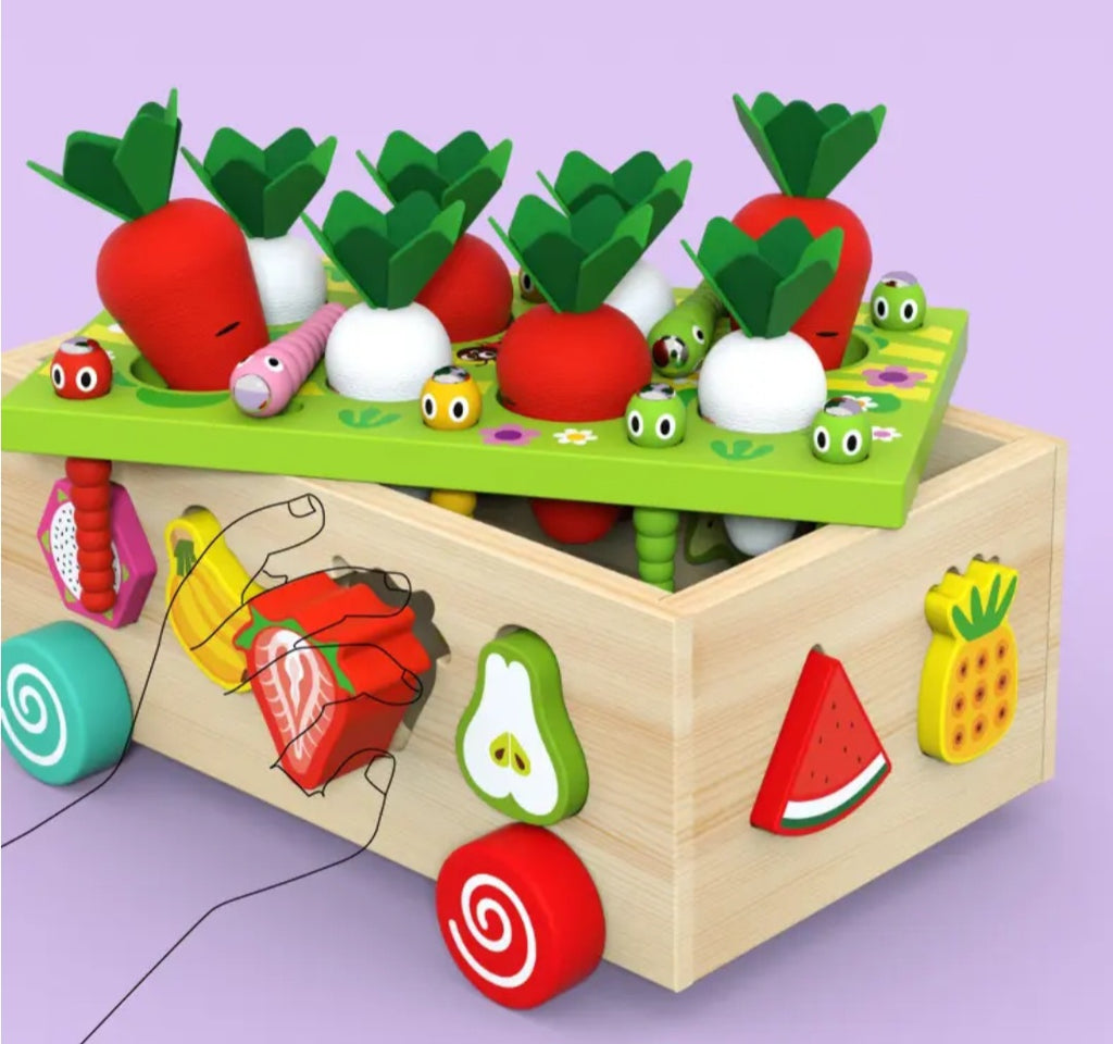 5 en 1 carottes et fruits éducatifs