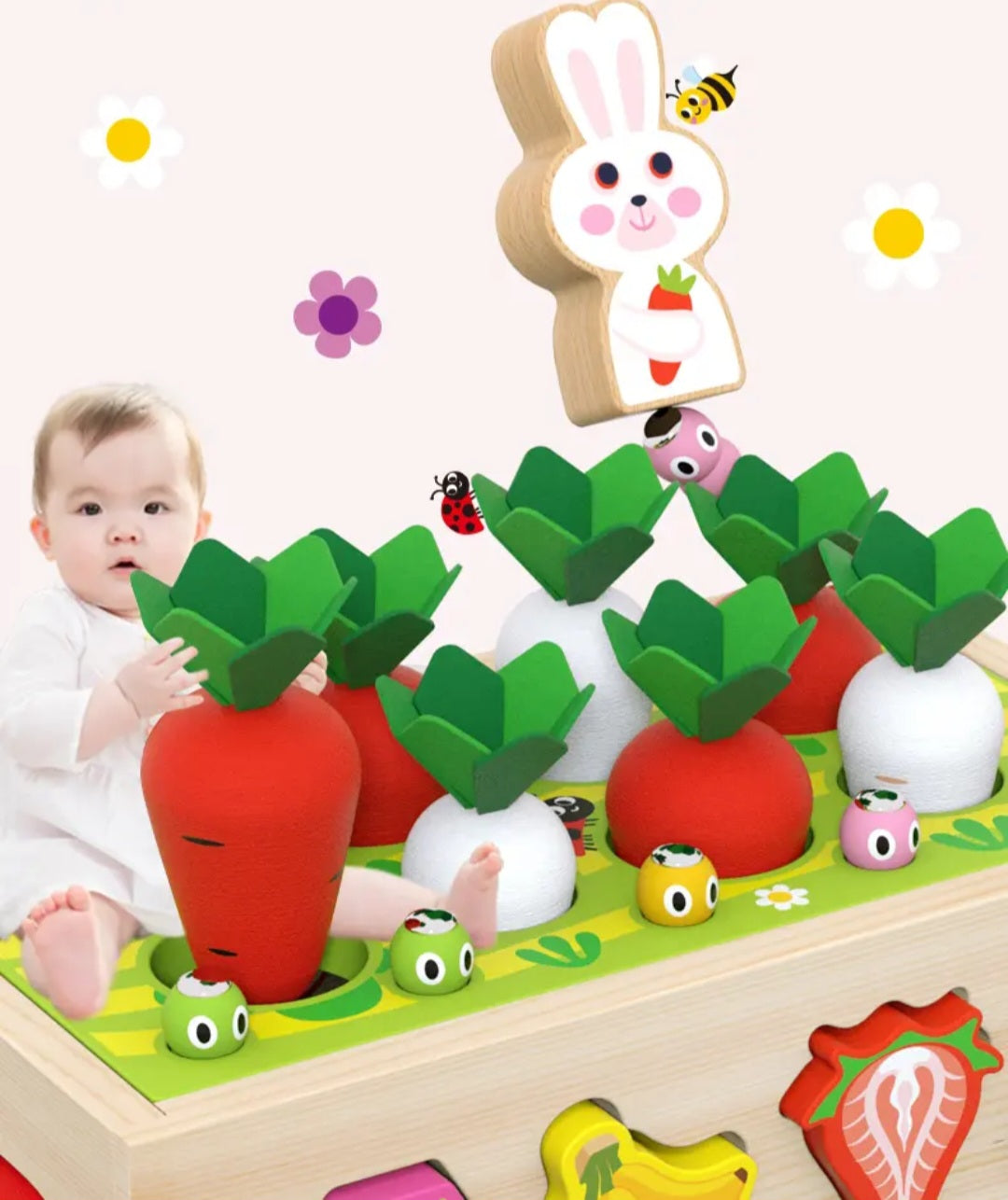 5 en 1 carottes et fruits éducatifs