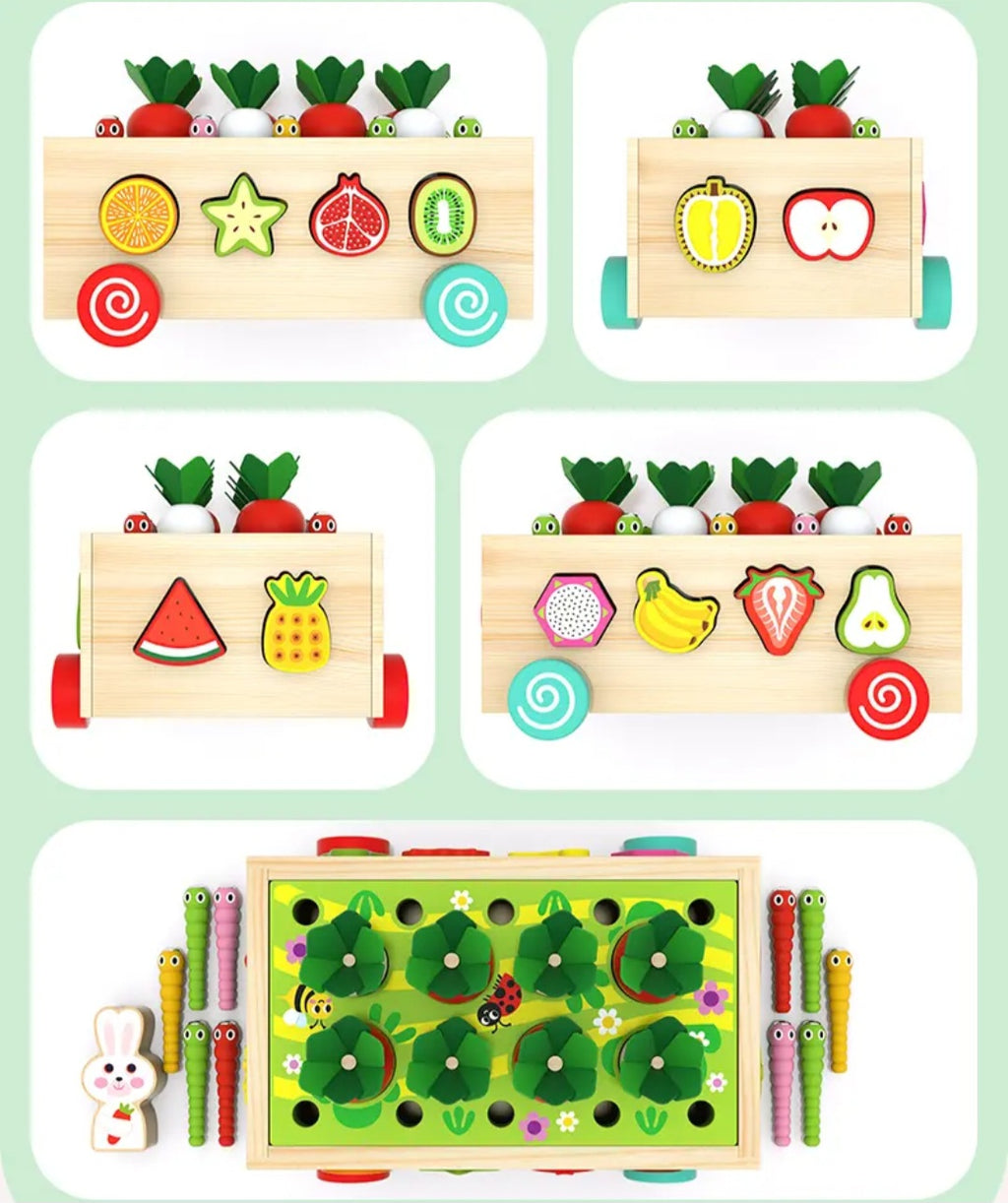 5 en 1 carottes et fruits éducatifs