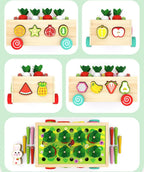 5 en 1 carottes et fruits éducatifs